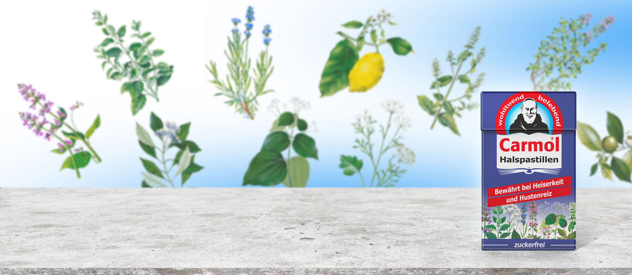 Carmol, Tropfen, Äußerlich, Carmol Tropfen, Homöopathie,              Schuck GmbH, Carmol Tropfen, Carmol Pastillen, Apotheke, Heilpflanzen, Schulter und Nackengel, Muskelcreme, Heilpraktiker